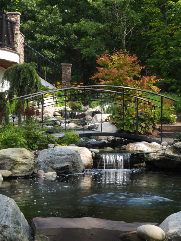 Koi Pond, Water garden Design, water garden, bridge, water feature, landscape design